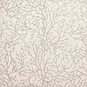 5th_2 (1).png